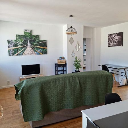 Le Belvedere Vue Pyrenees, Familiale, Centre Tarbes 아파트 외부 사진